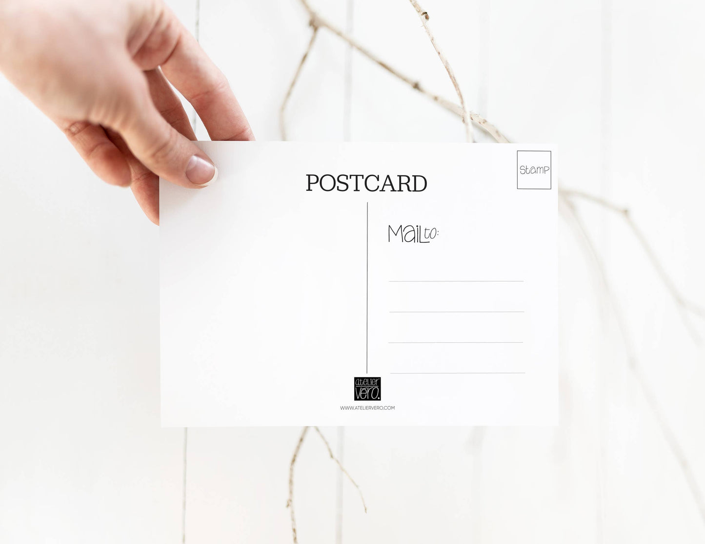 Cape Cod MA Postcard: Fun Lobster Beach Travel Coastal Card: 24