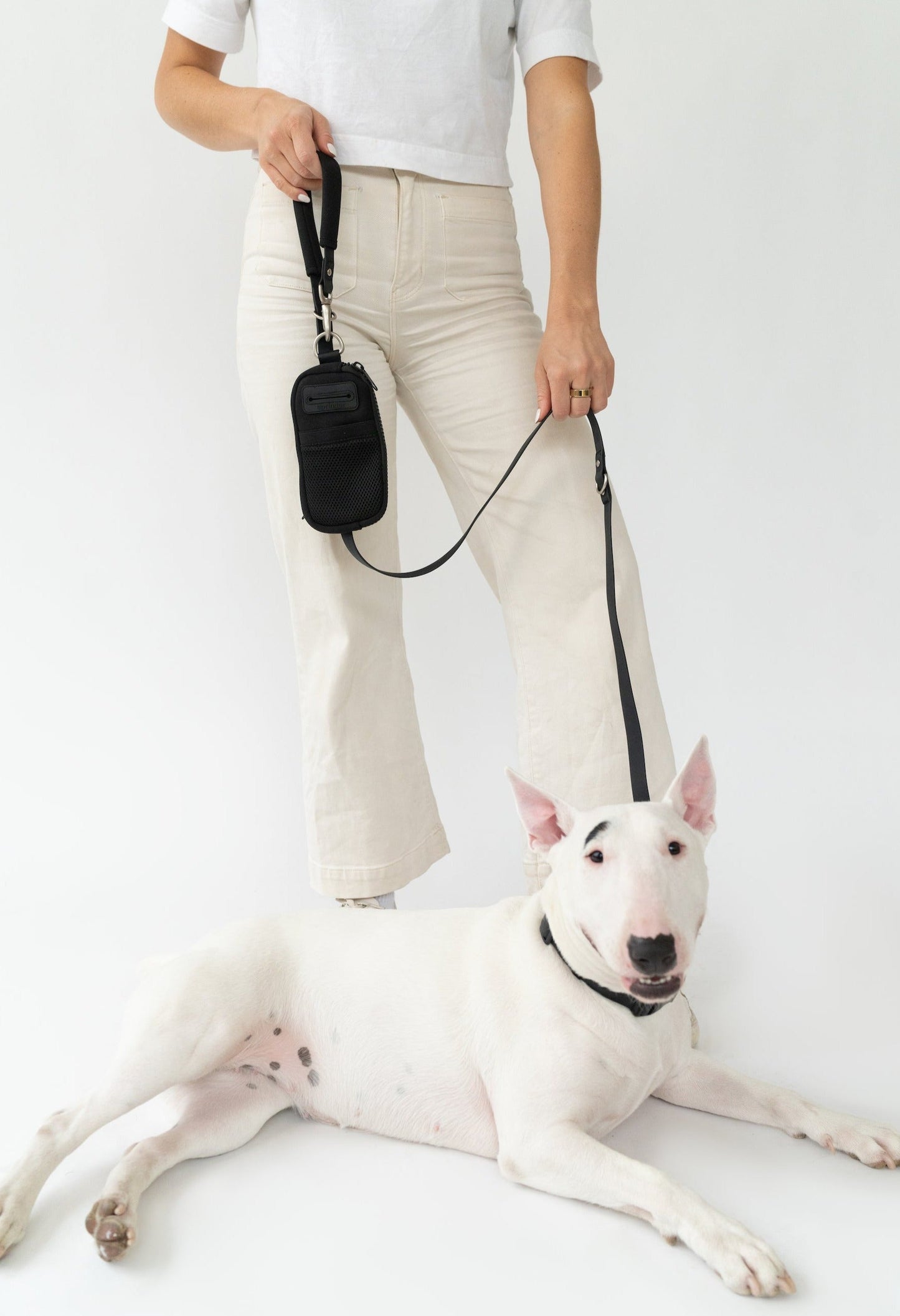 The Dog Walk Bag with Leash
