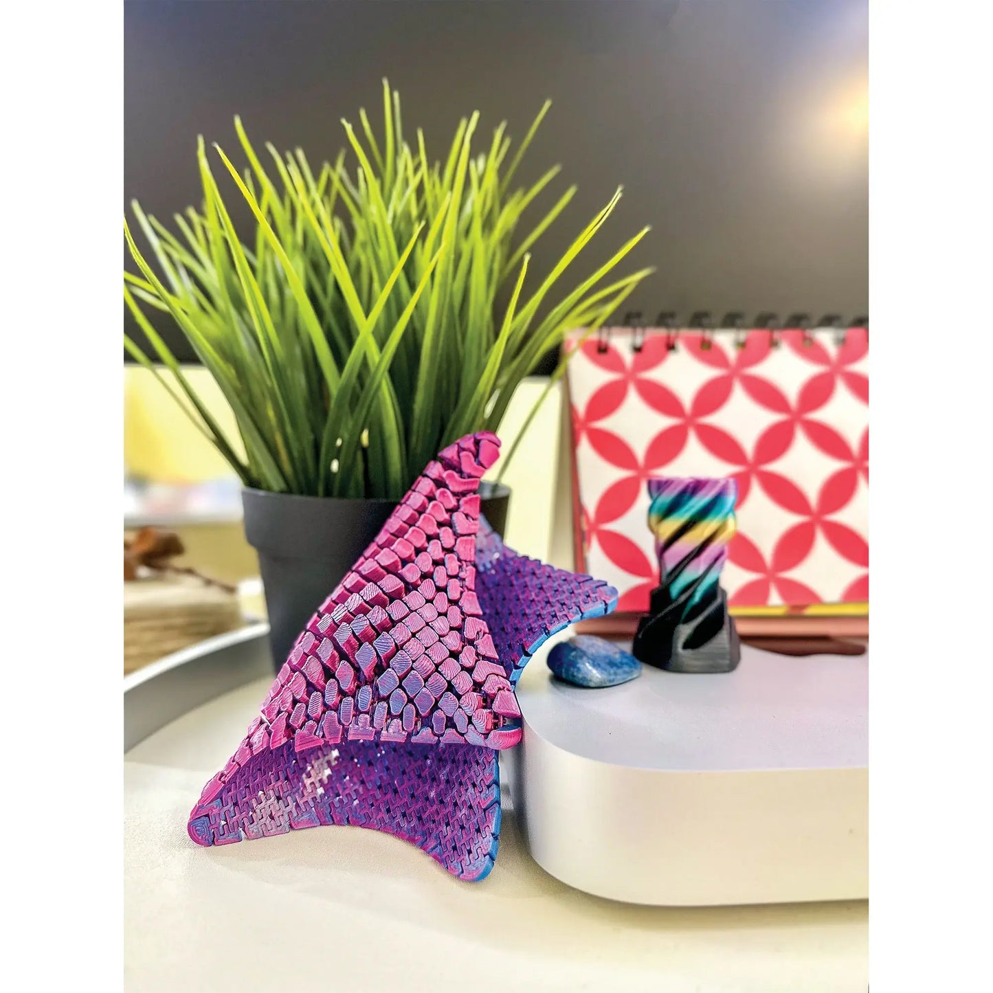 3D PRINTED STARFISH FIDGET TOY 6/BAG