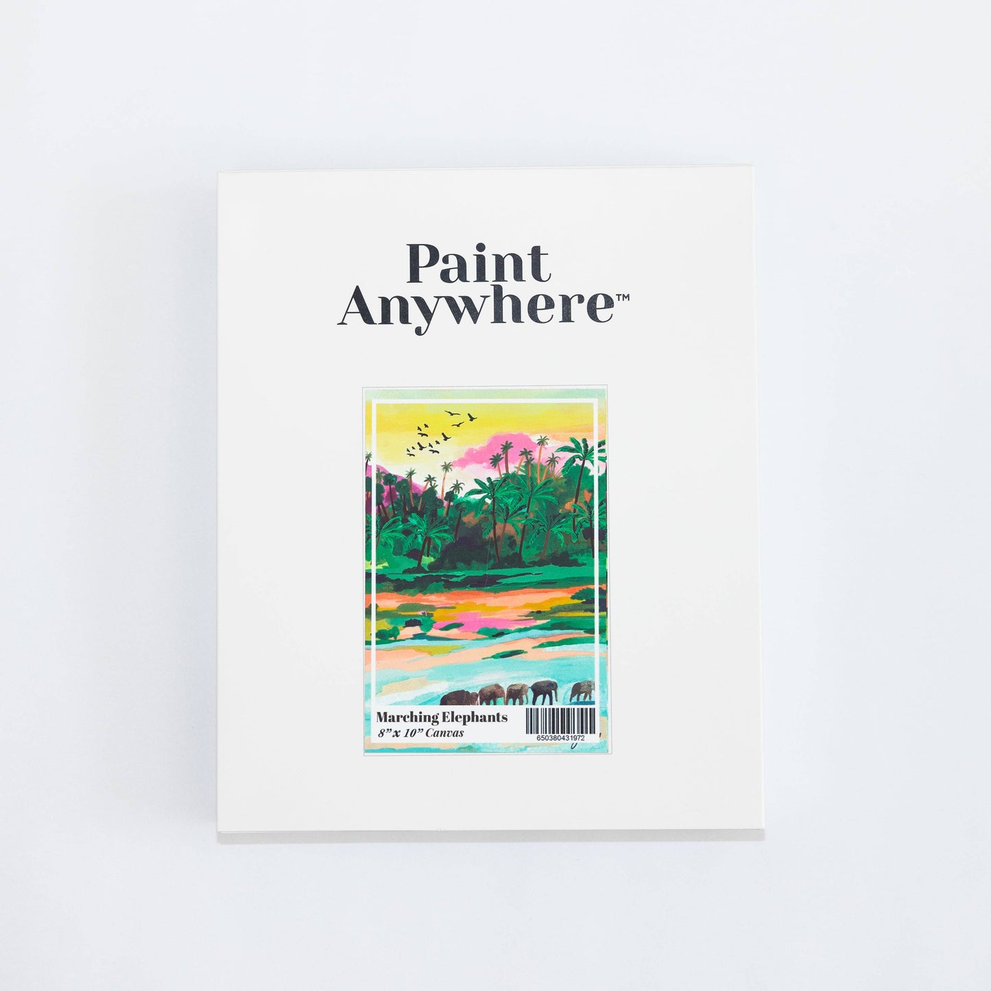 Marching Elephants by Hebe Studio Paint by Numbers Framed Mini