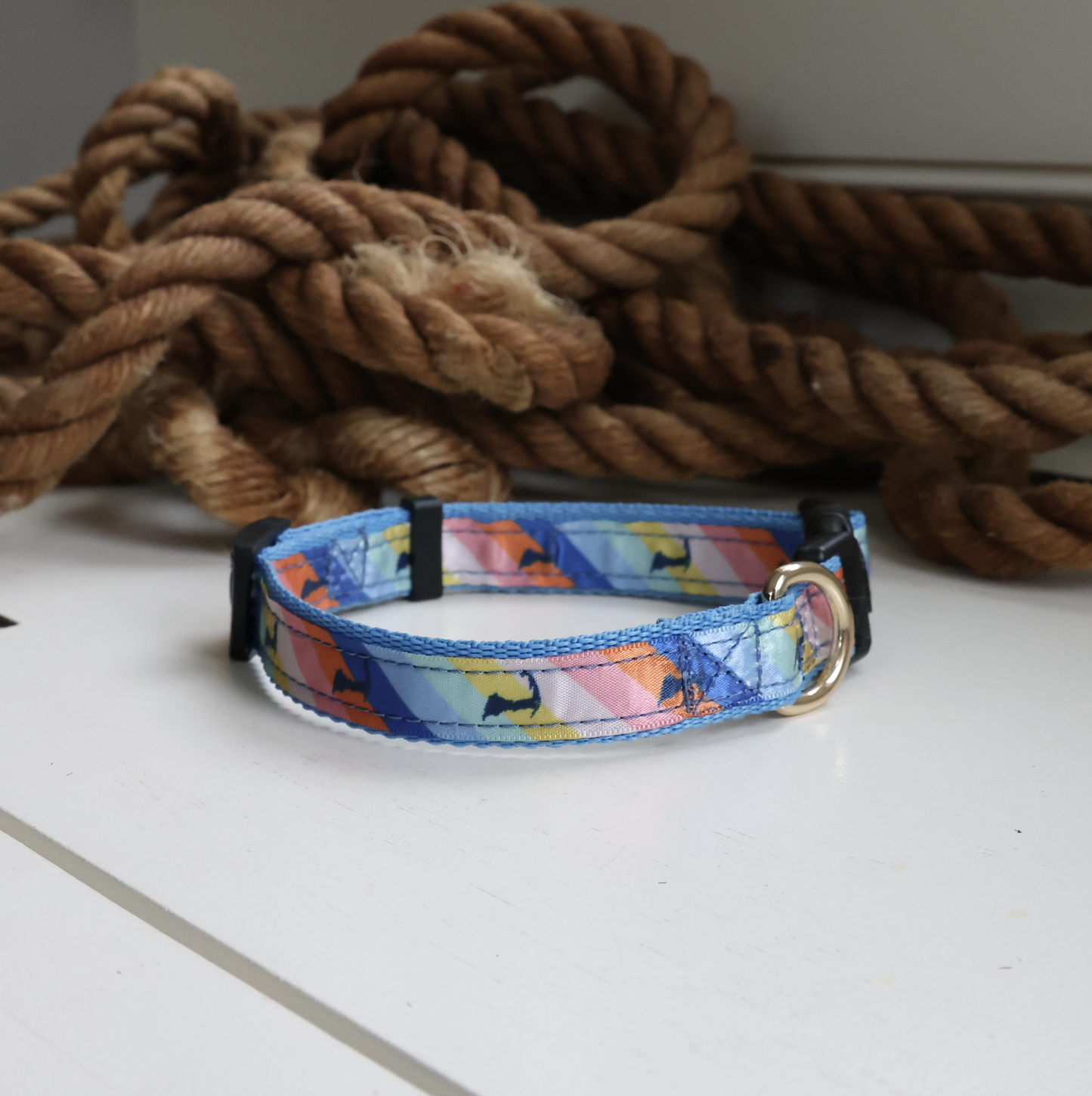 Cape Cod Life Beachfront π Rainbow Collar