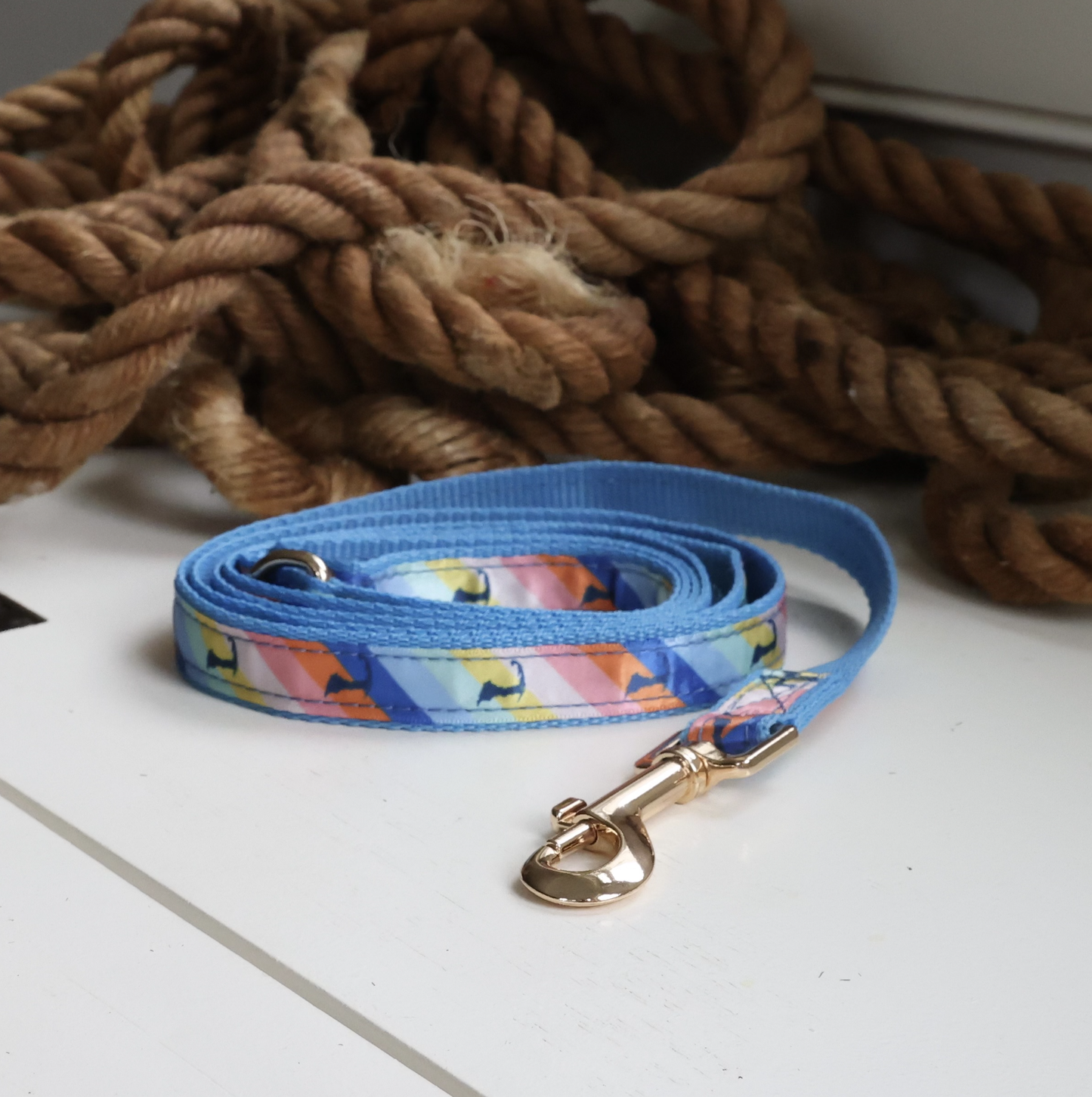 Cape Cod Life Beachfront π Rainbow Leash