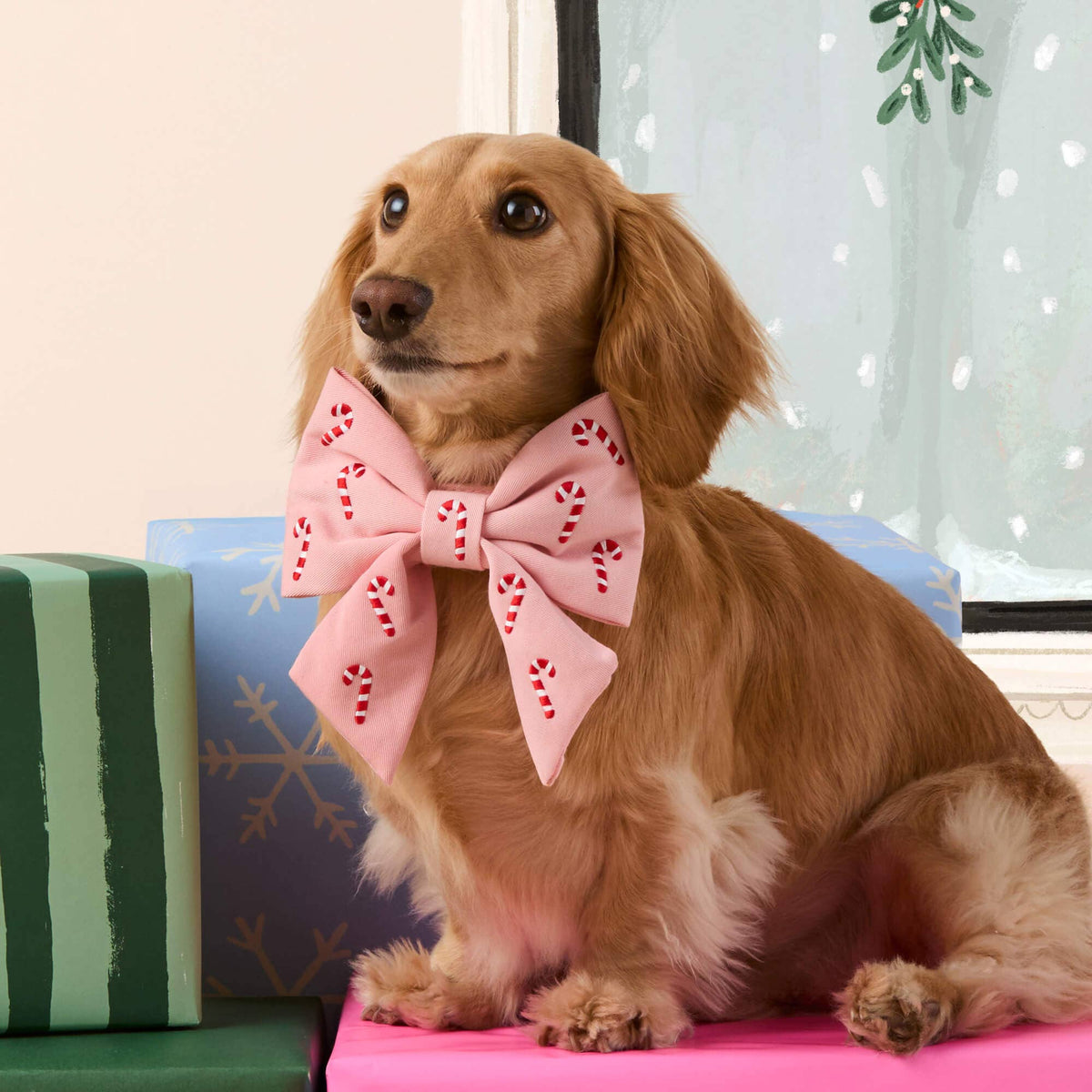 Blush Pink Candy Canes Embroidered Lady Dog Bow