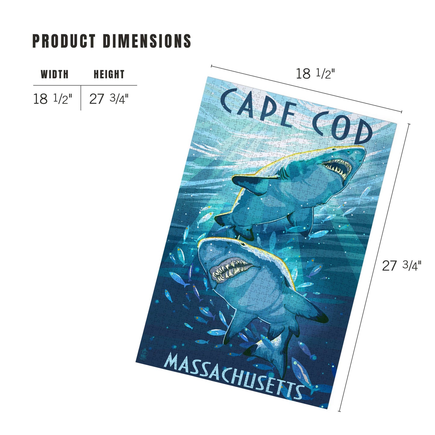 1000 PIECE PUZZLE Cape Cod, Massachusetts Great White Sharks