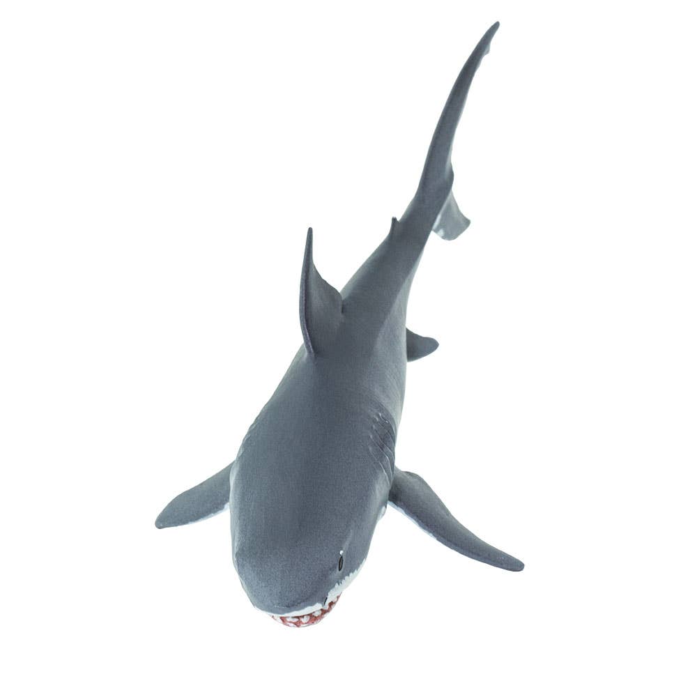 Great White Shark - 200729