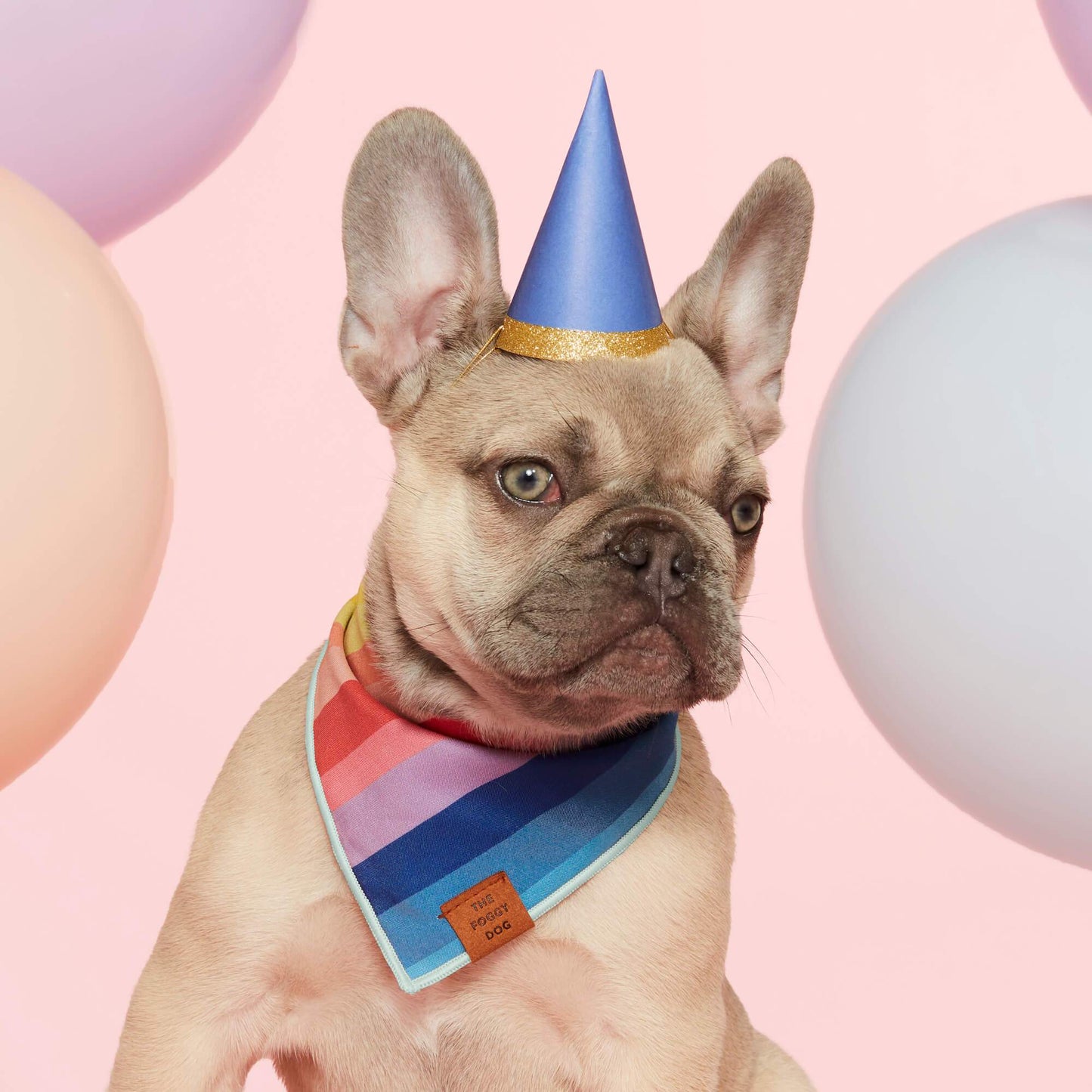 Over the Rainbow Dog Bandana