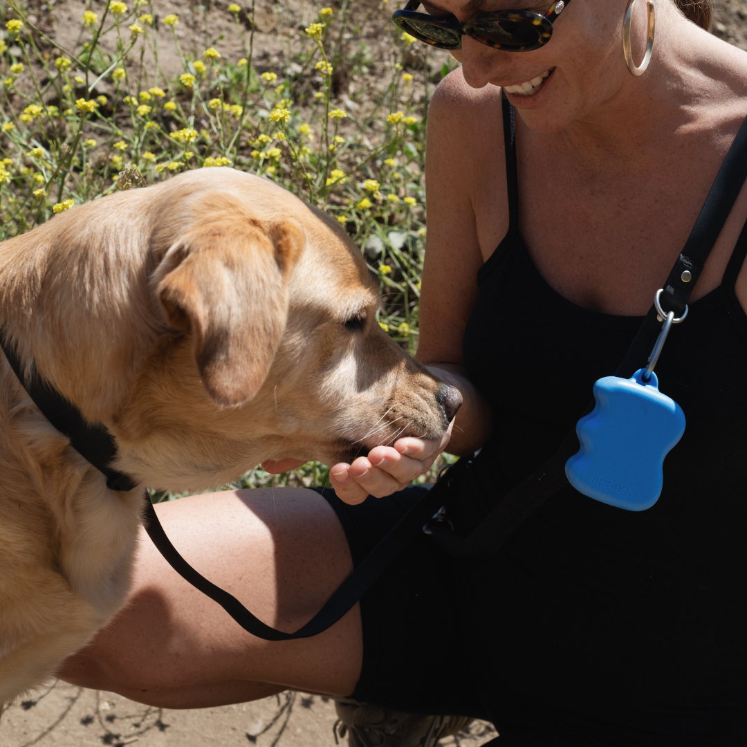 The Silicone Dog Treat Dispenser