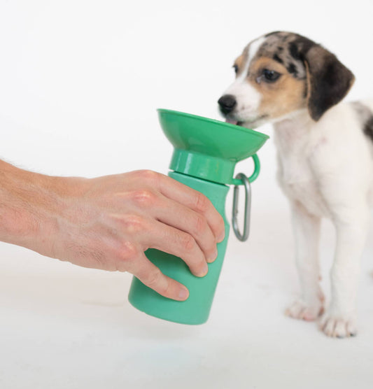 Mini Dog Travel Bottle - Springer Green