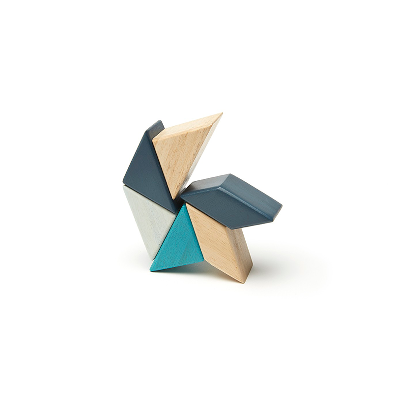 Pocket Pouch Prism Magnetic Wooden Blocks 6 pieces
