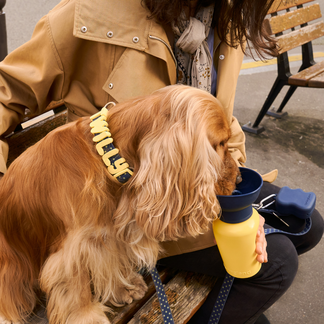 The Silicone Dog Treat Dispenser