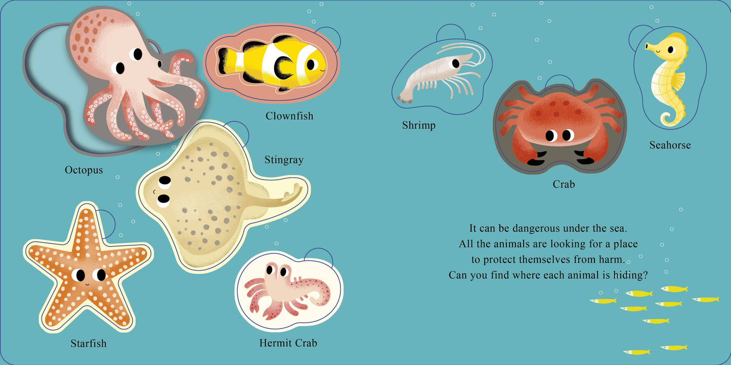 Who Is Hiding in the Sea?