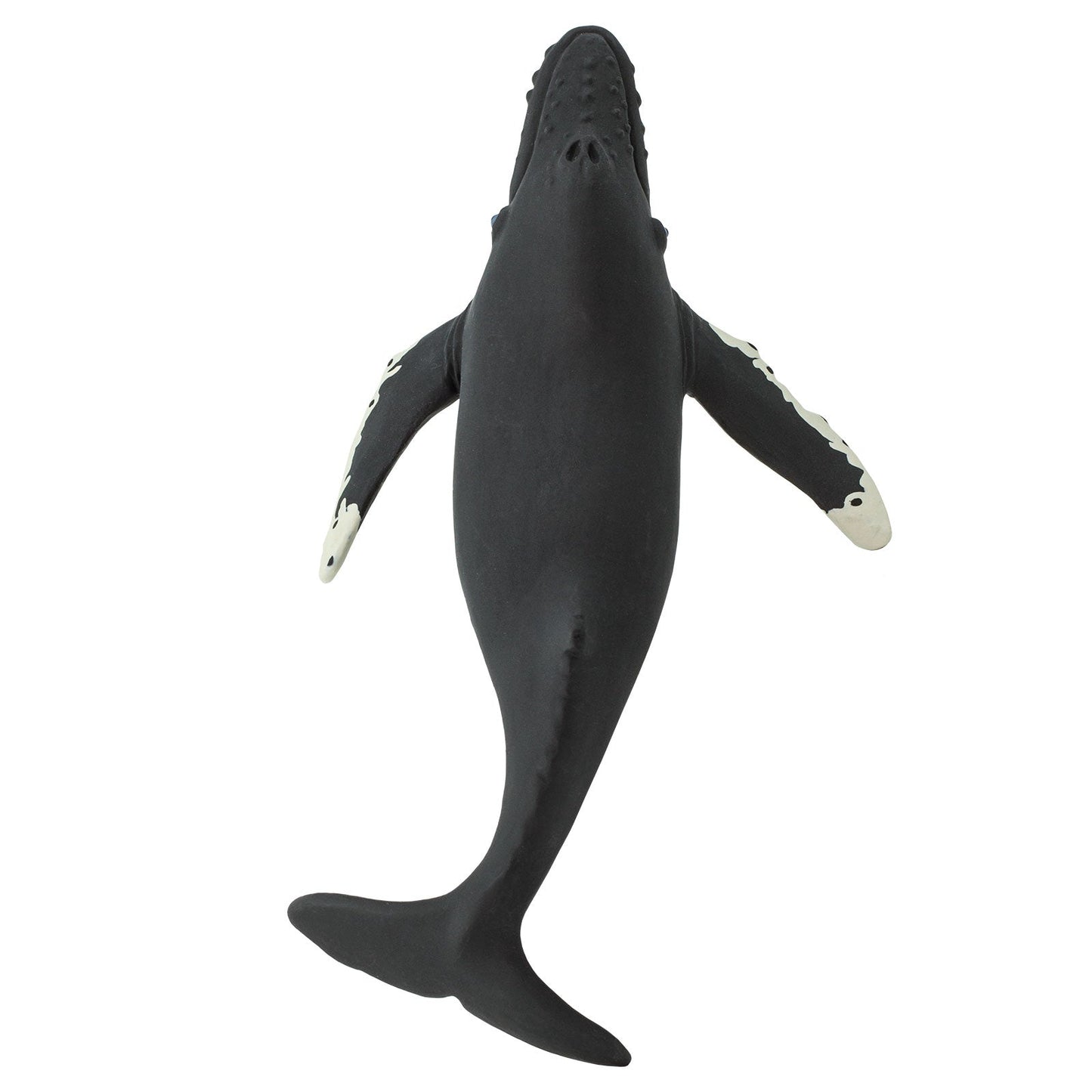 Safari Ltd Humpback Whale figurine - bottom view