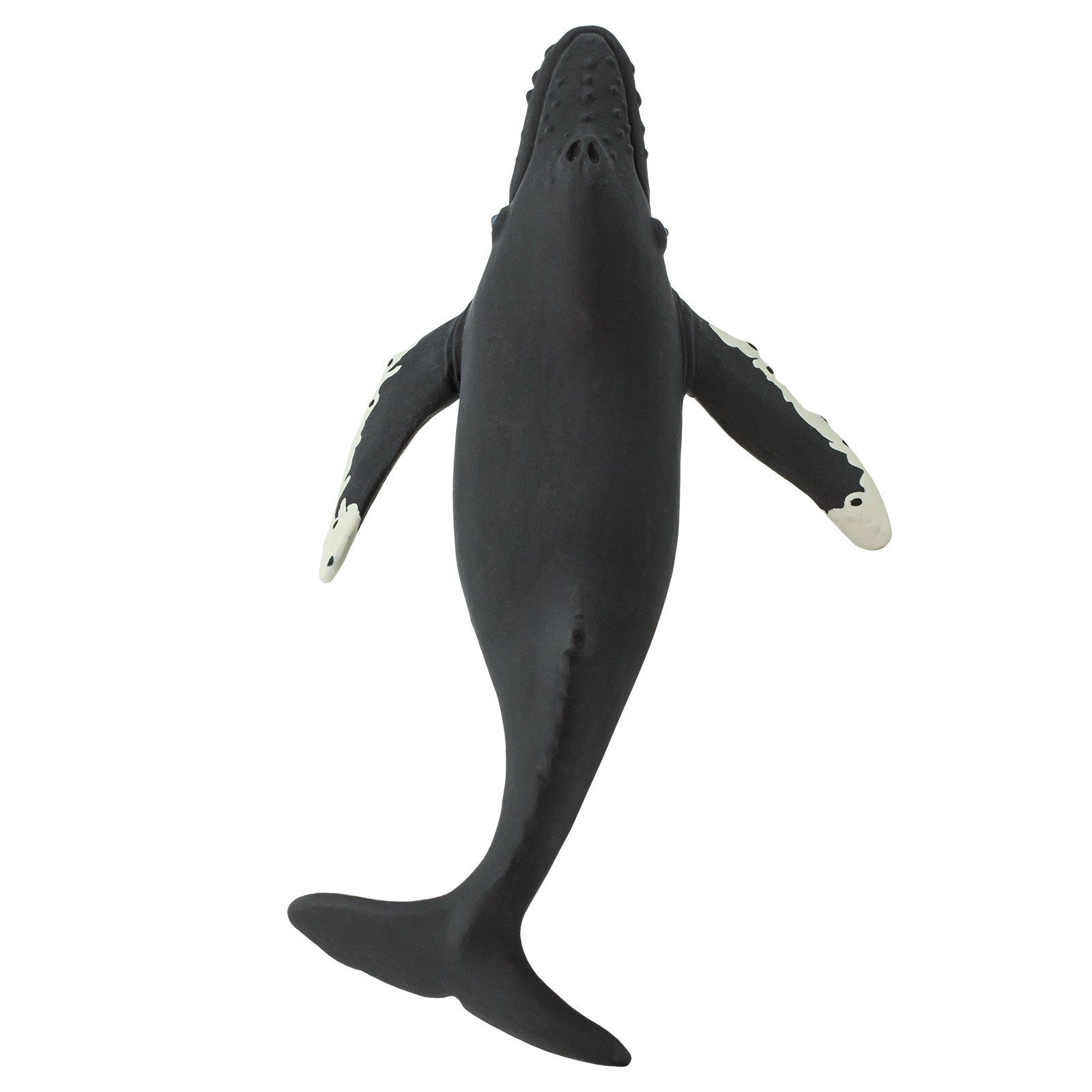 Safari Ltd Humpback Whale figurine - bottom view