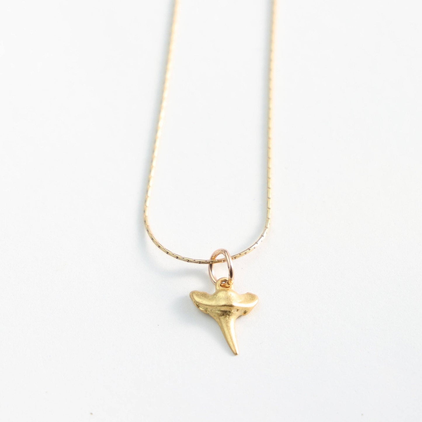 Cape Cod Jaws Shark Tooth Necklace: Surf Steel