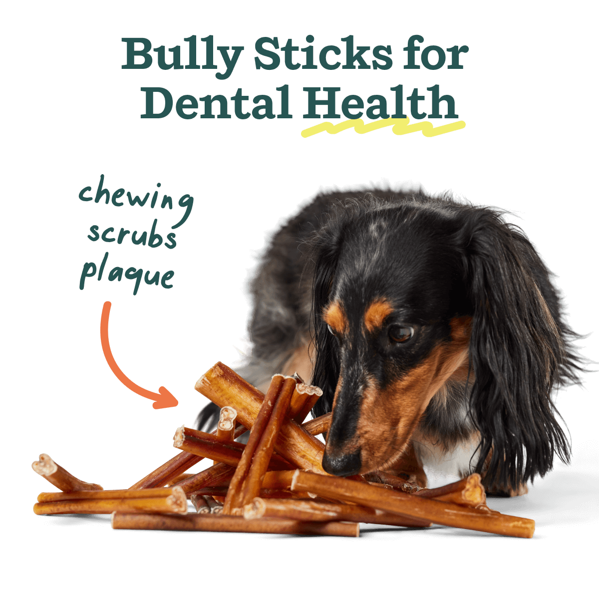 BullySafe Chews - BullySticks: Beef / 6-inch 5 pack