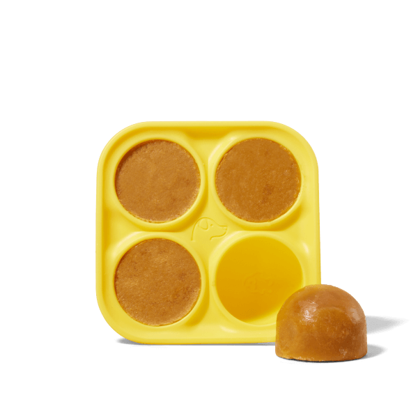 Pupsicle Treat Tray: Large