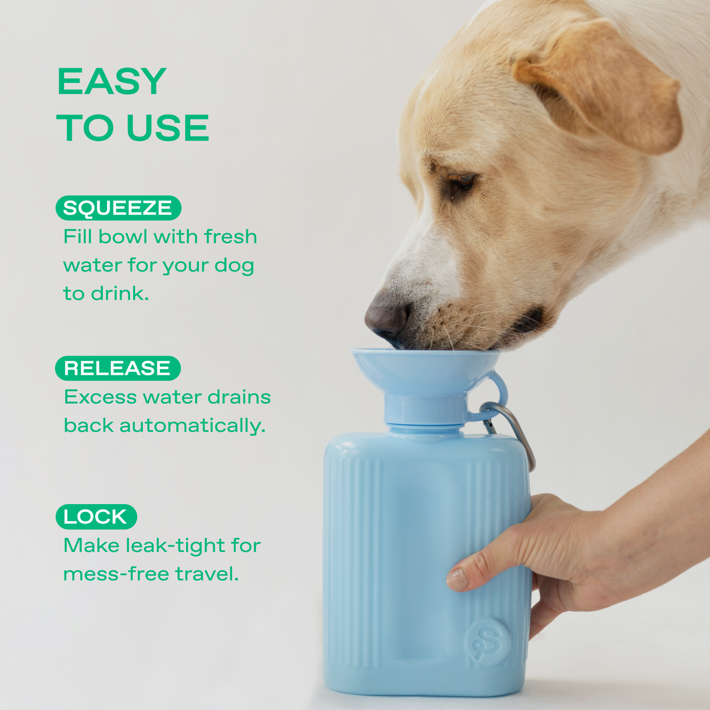 44oz Original Springer Dog Travel Water Bottle