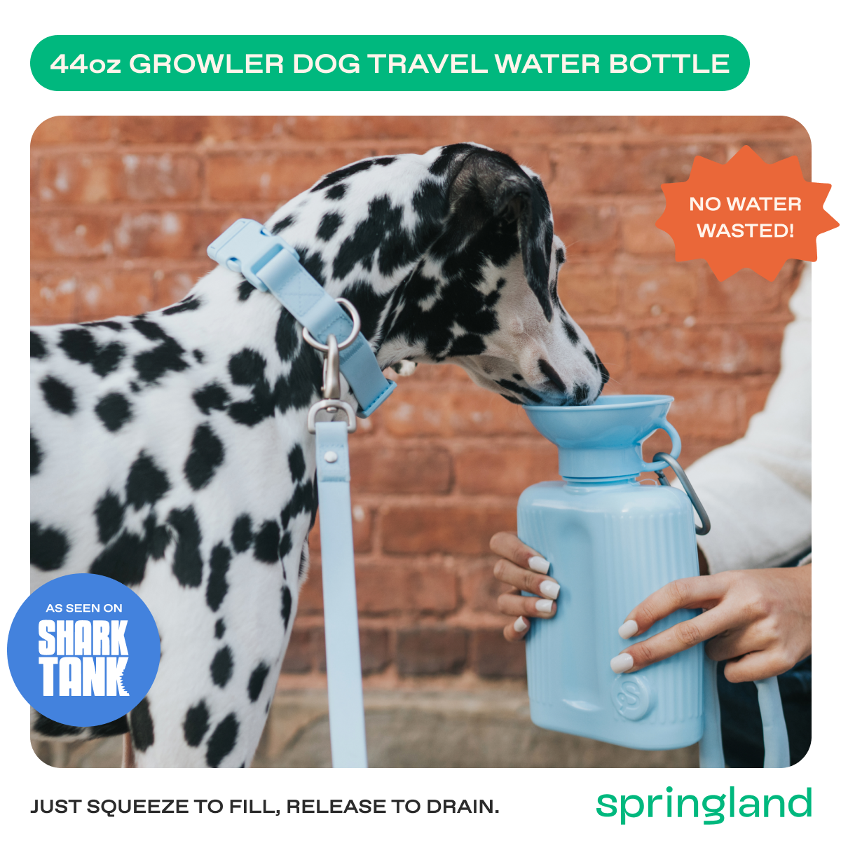 44oz Original Springer Dog Travel Water Bottle