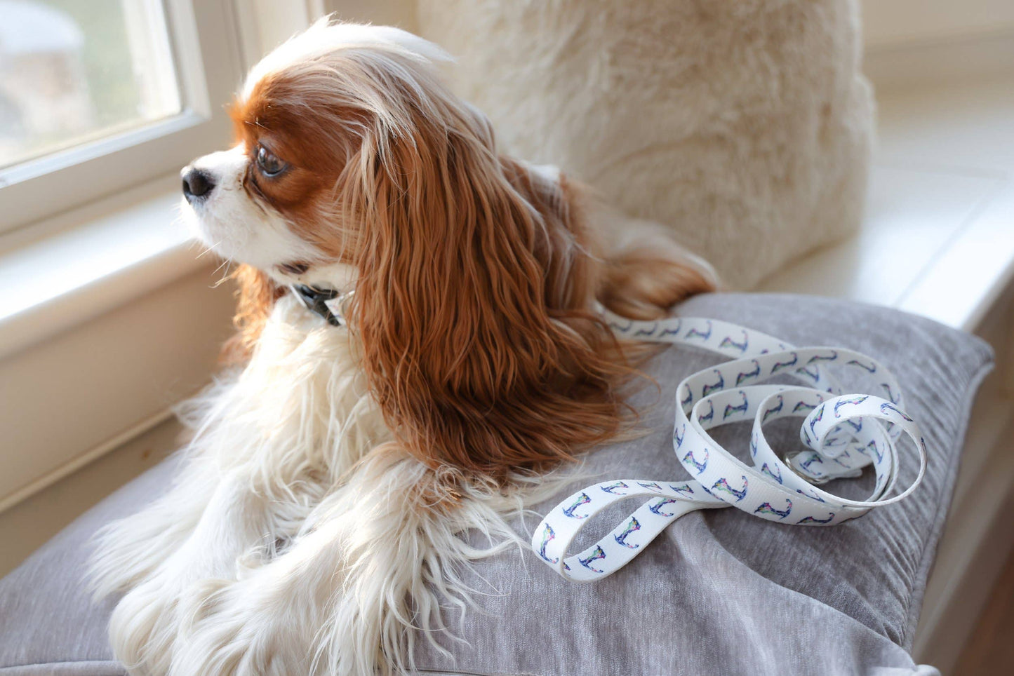 Cape Cod Dog Leash