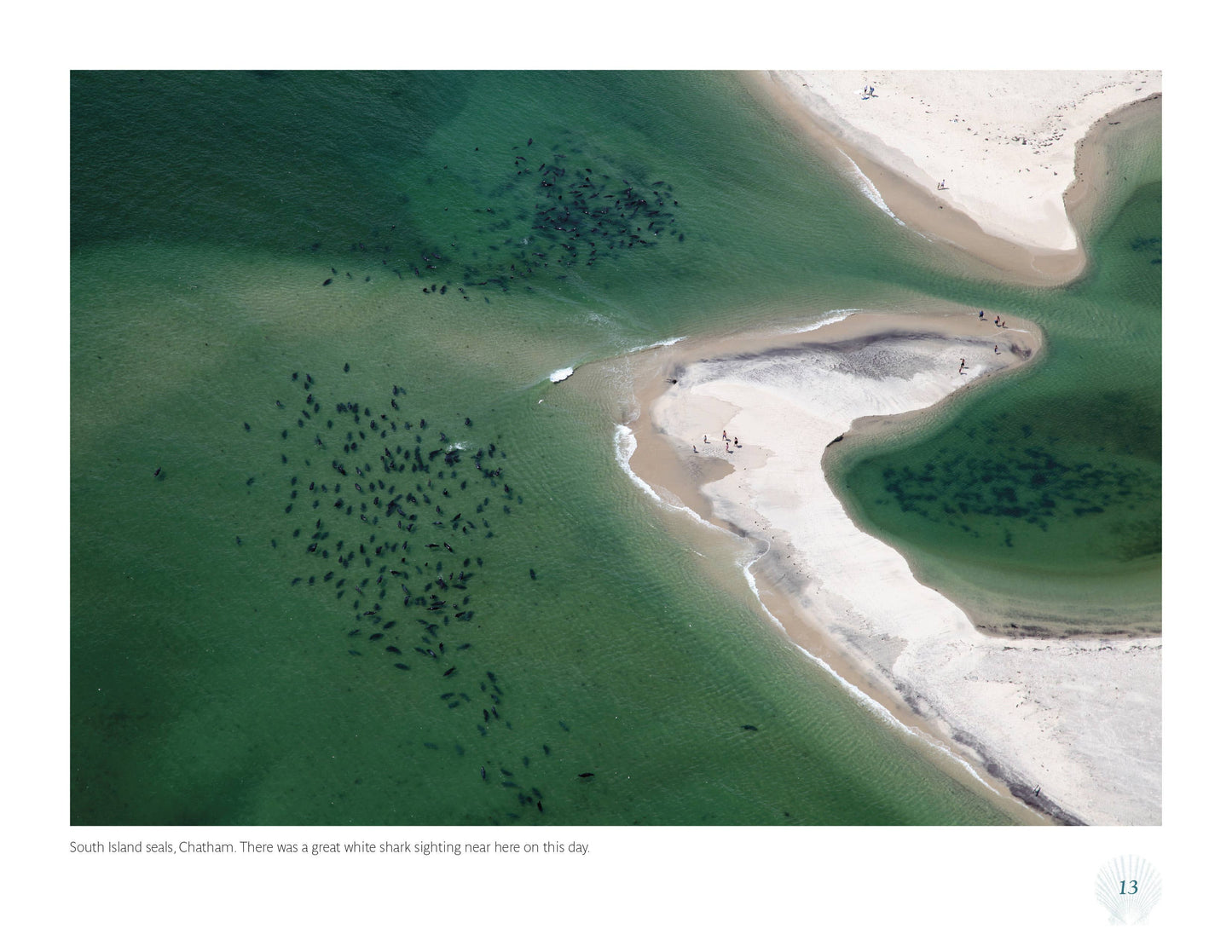 The Cape Cod National Seashore