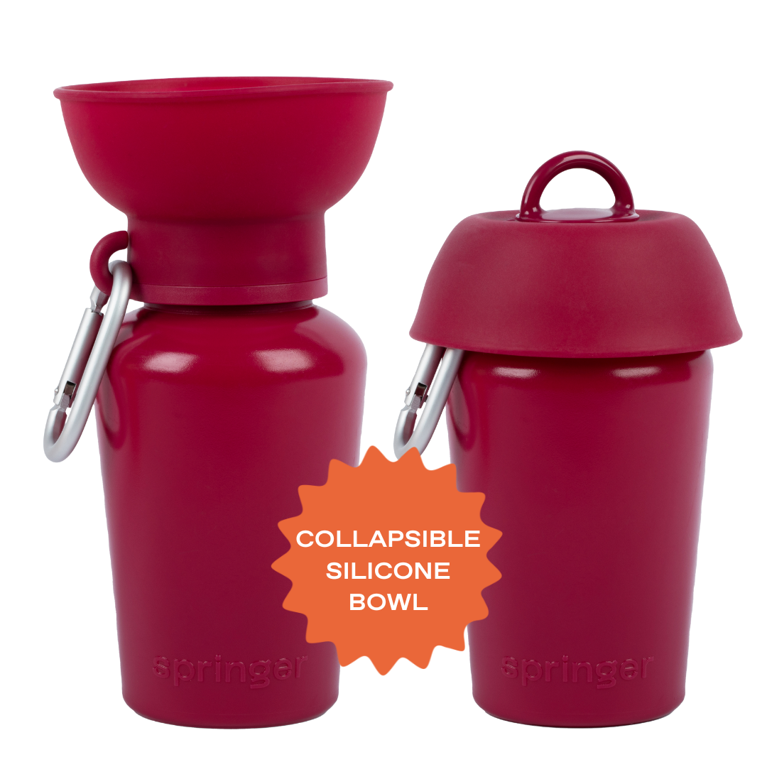 20oz Flip Springer Dog Travel Water Bottle