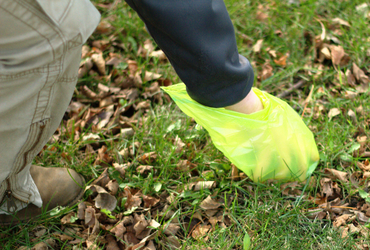 GreenLine Biodegradable Poop Bags - Single Rolls