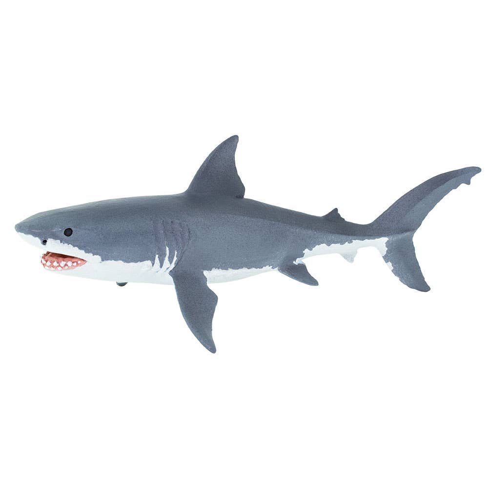Great White Shark - 200729