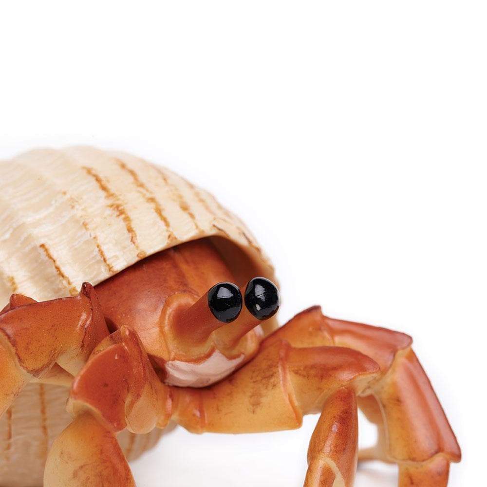 Safari Ltd Hermit Crab figurine close-up face and claw detail