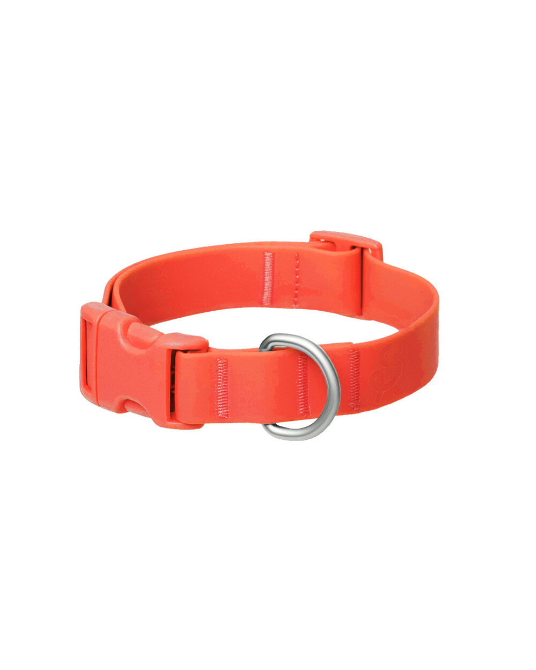 The Dog Collar