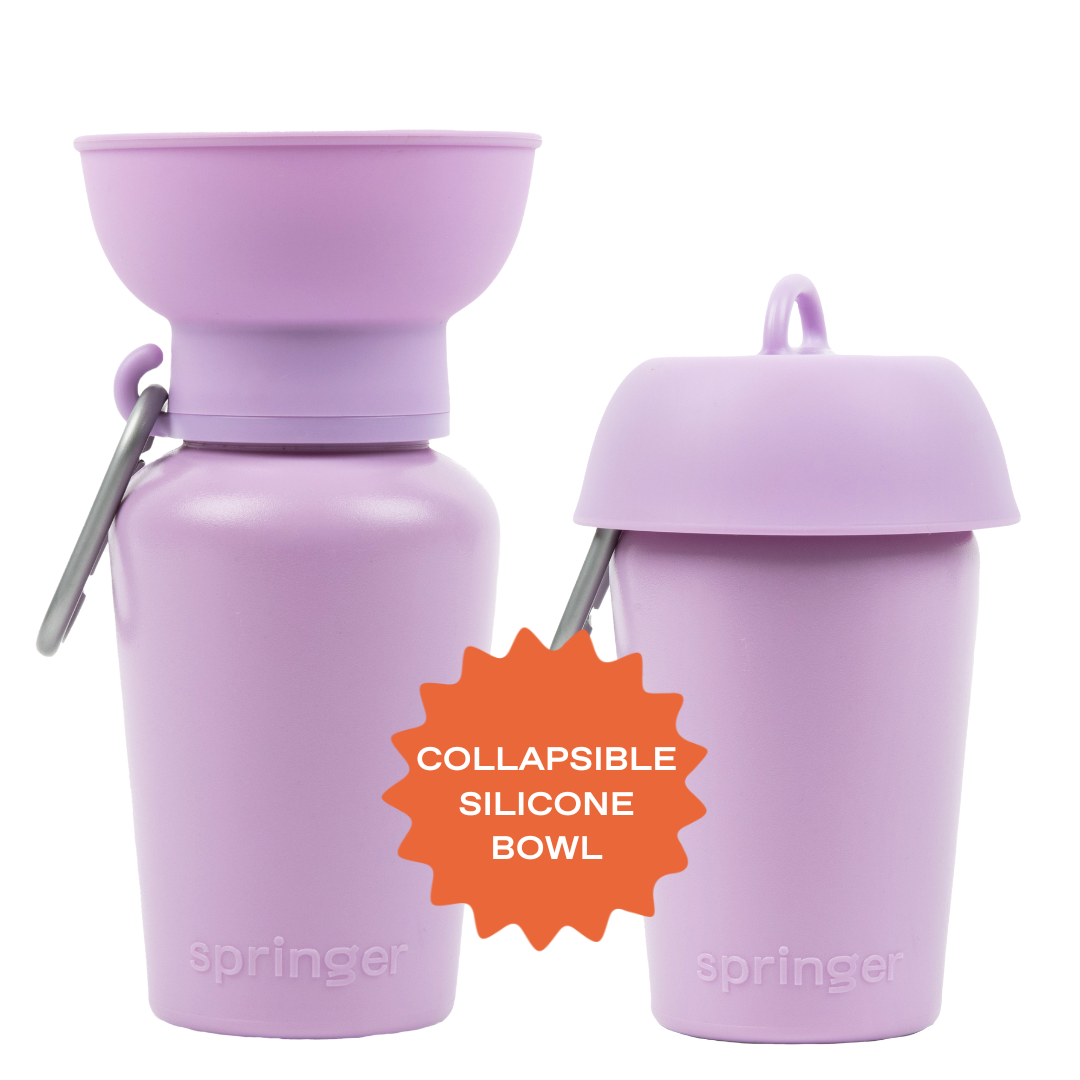 20oz Flip Springer Dog Travel Water Bottle