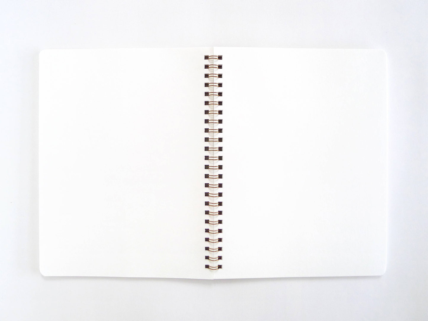 Moon Phase Coil Notebook, LG: Lined