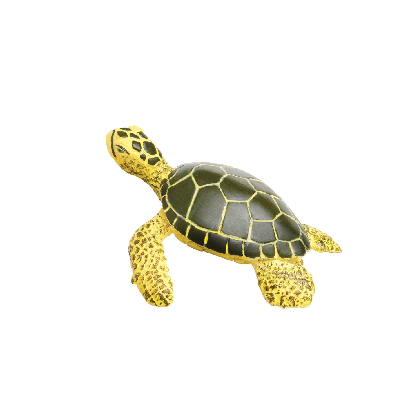 Wild Safari Sea Life Baby Green Sea Turtle figurine - view 3