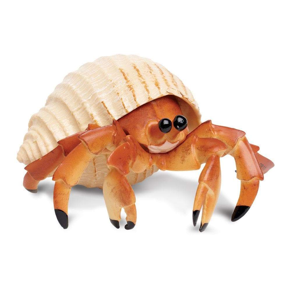 Safari Ltd Hermit Crab figurine top view