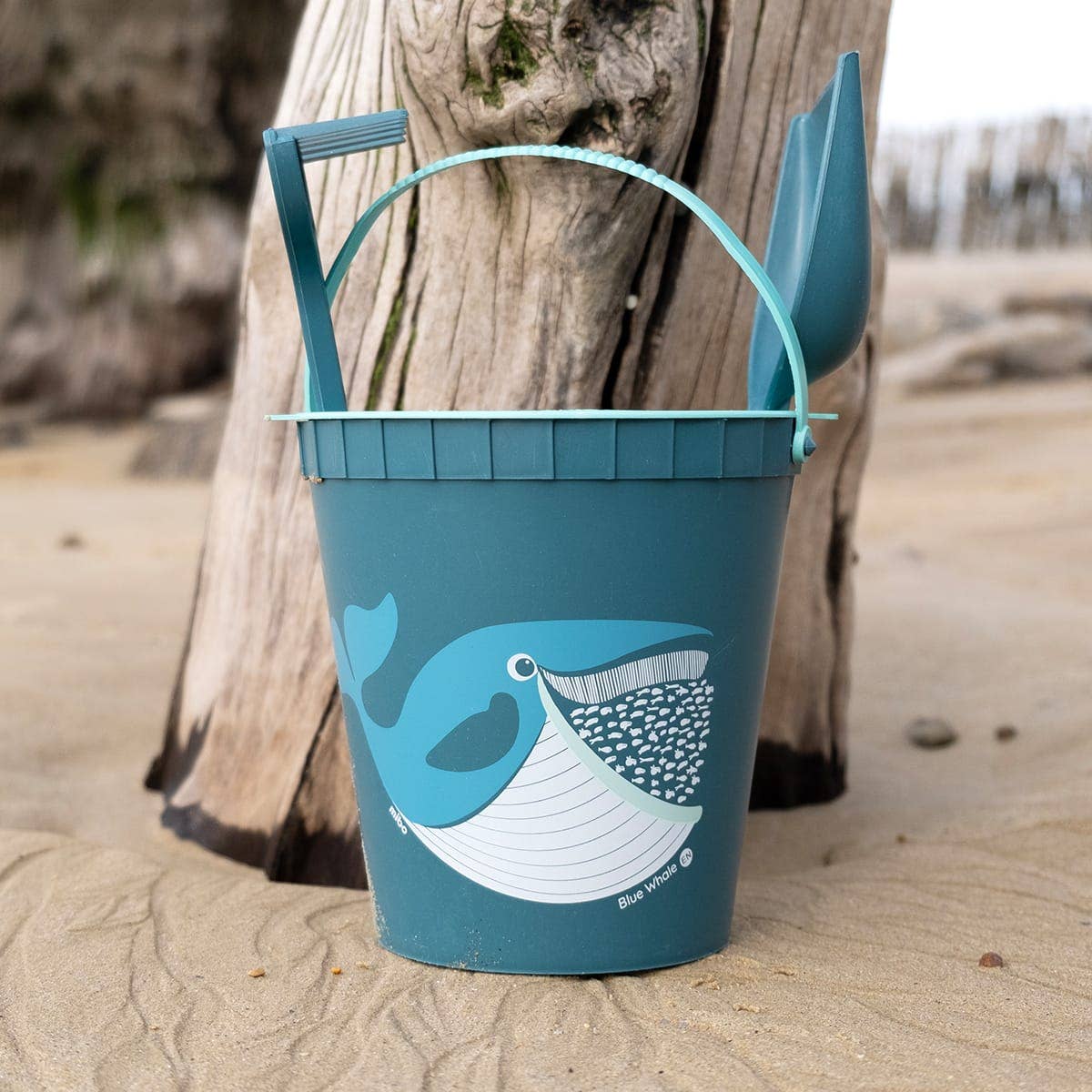 Eco-friendly children's beach toy kit - Whale