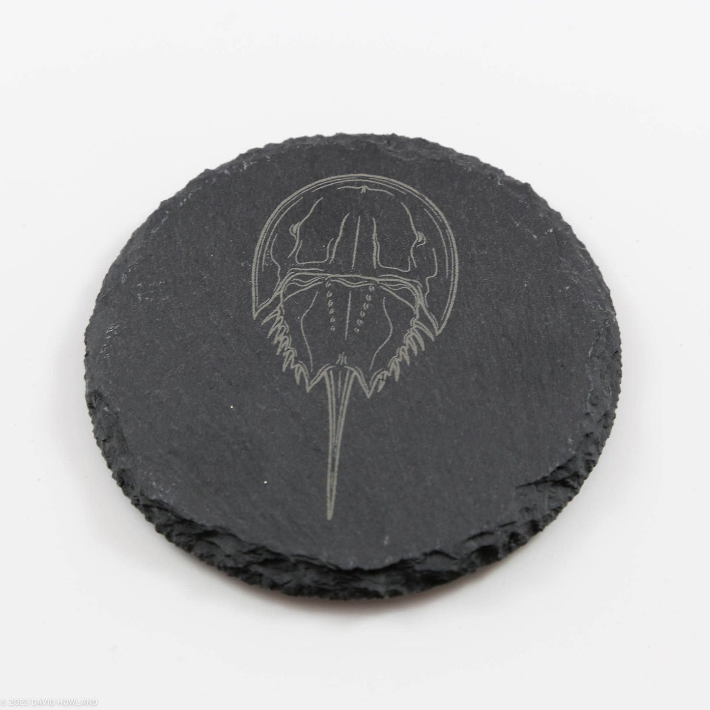 Horseshoe Crab Slate Coaster