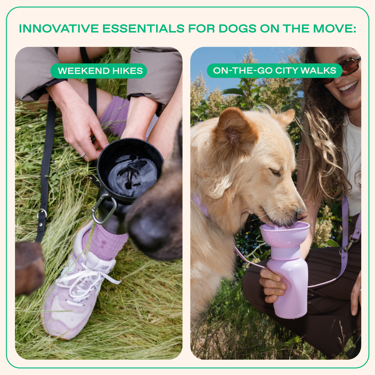 20oz Flip Springer Dog Travel Water Bottle