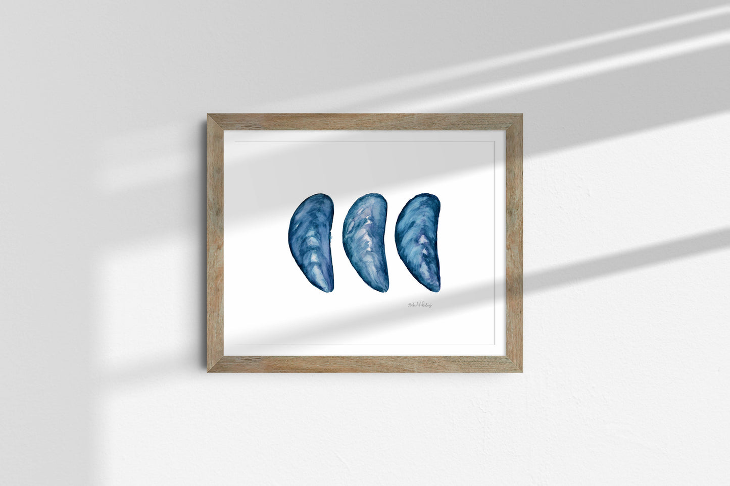 Mussel Shell Trio, Watercolor