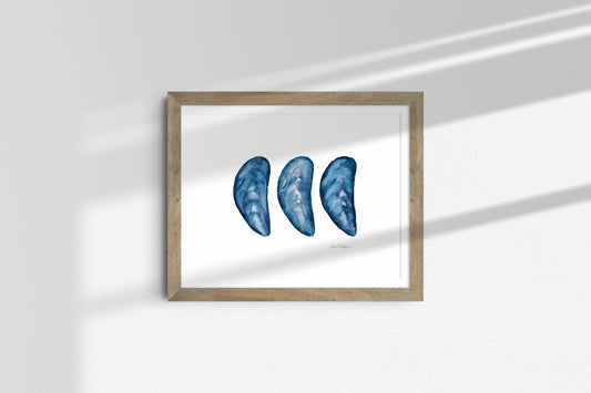 Mussel Shell Trio, Watercolor