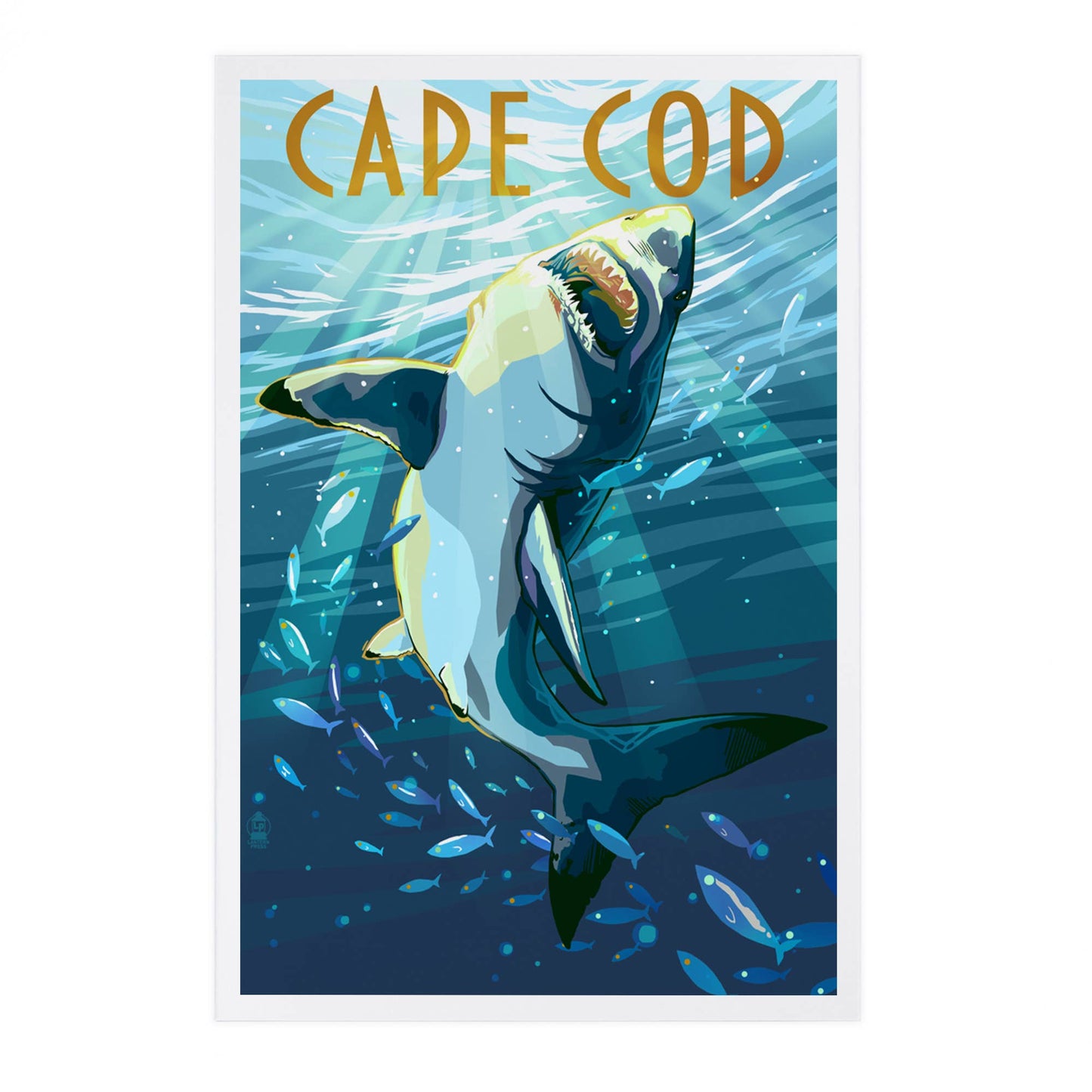 PREMIUM POSTCARDS Cape Cod, Massachusetts, Stylized Shark
