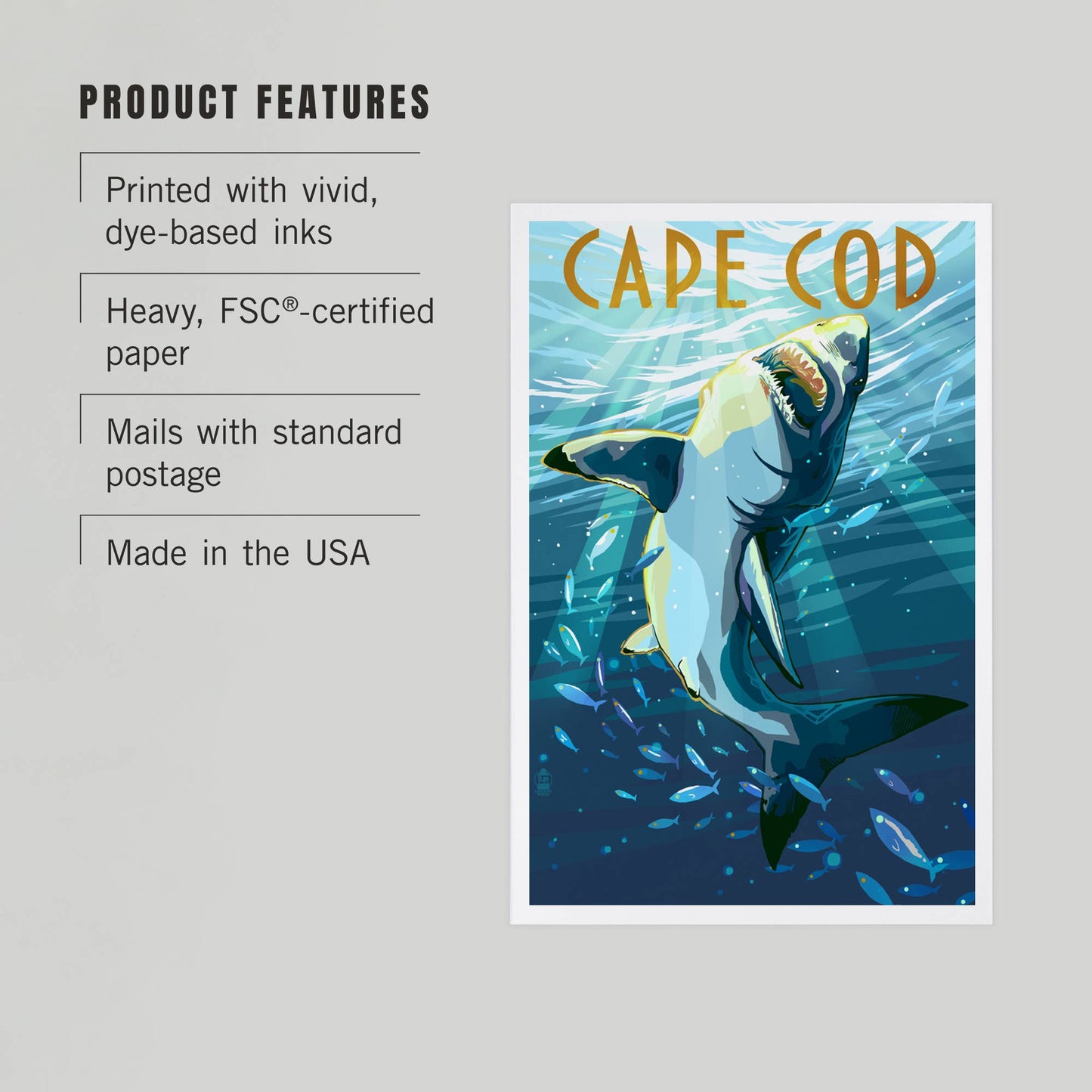 PREMIUM POSTCARDS Cape Cod, Massachusetts, Stylized Shark