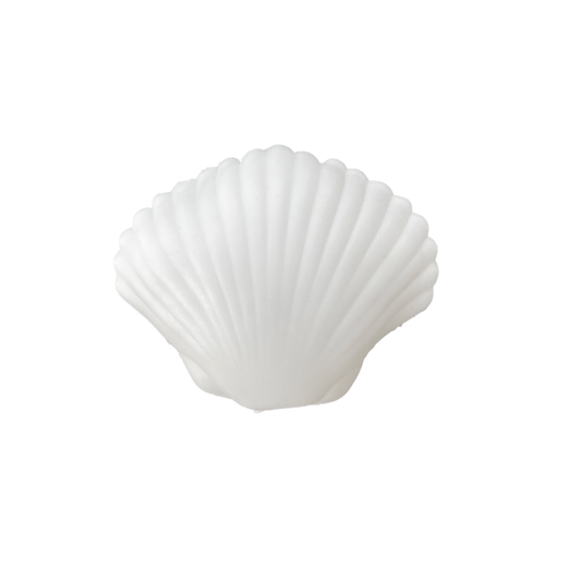 Seaside Clamshell Squeeze Squishy - Case Pack of 15