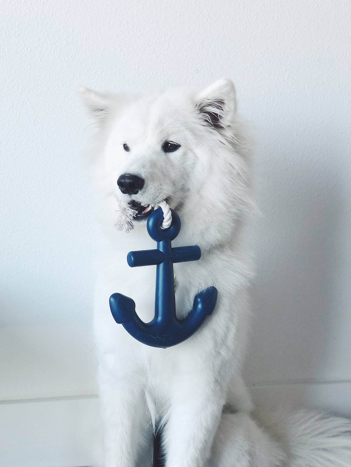 Anchors Aweigh Rubber Dog Toy: Cherry / Small