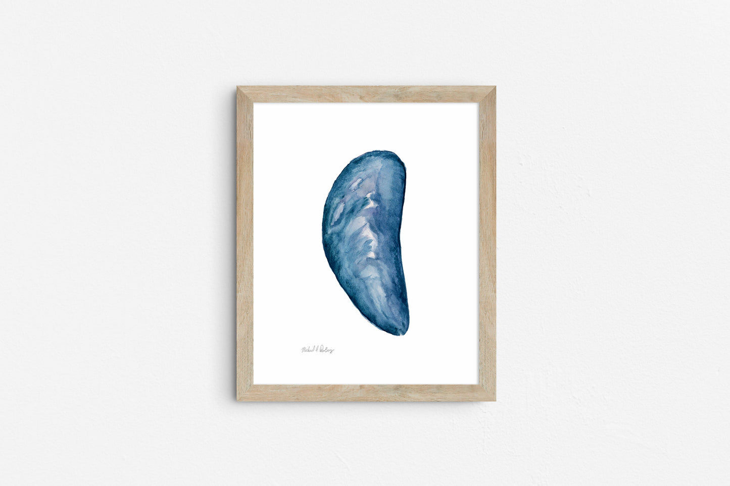 Mussel Shell Singles, Watercolor