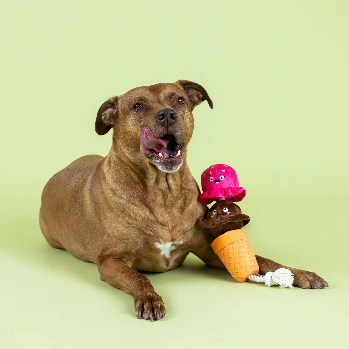 LOSING CONETROL PLUSH DOG TOY