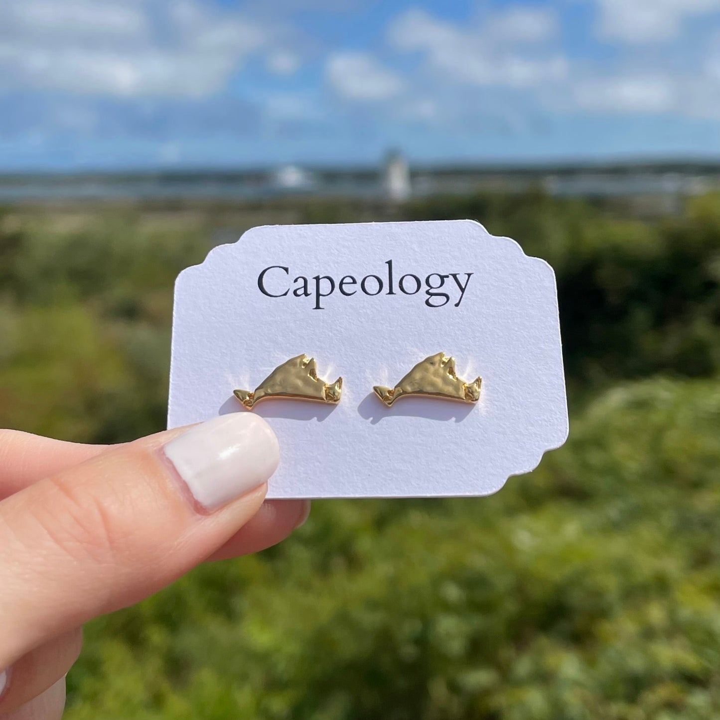 Martha's Vineyard Earrings