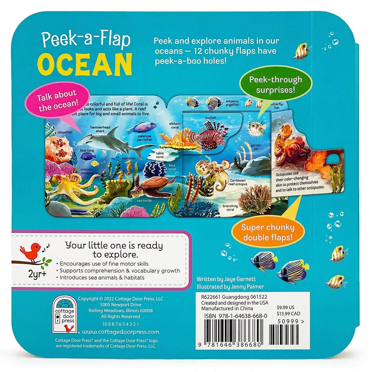 Ocean Interactive Lift-a-Flap Board Book