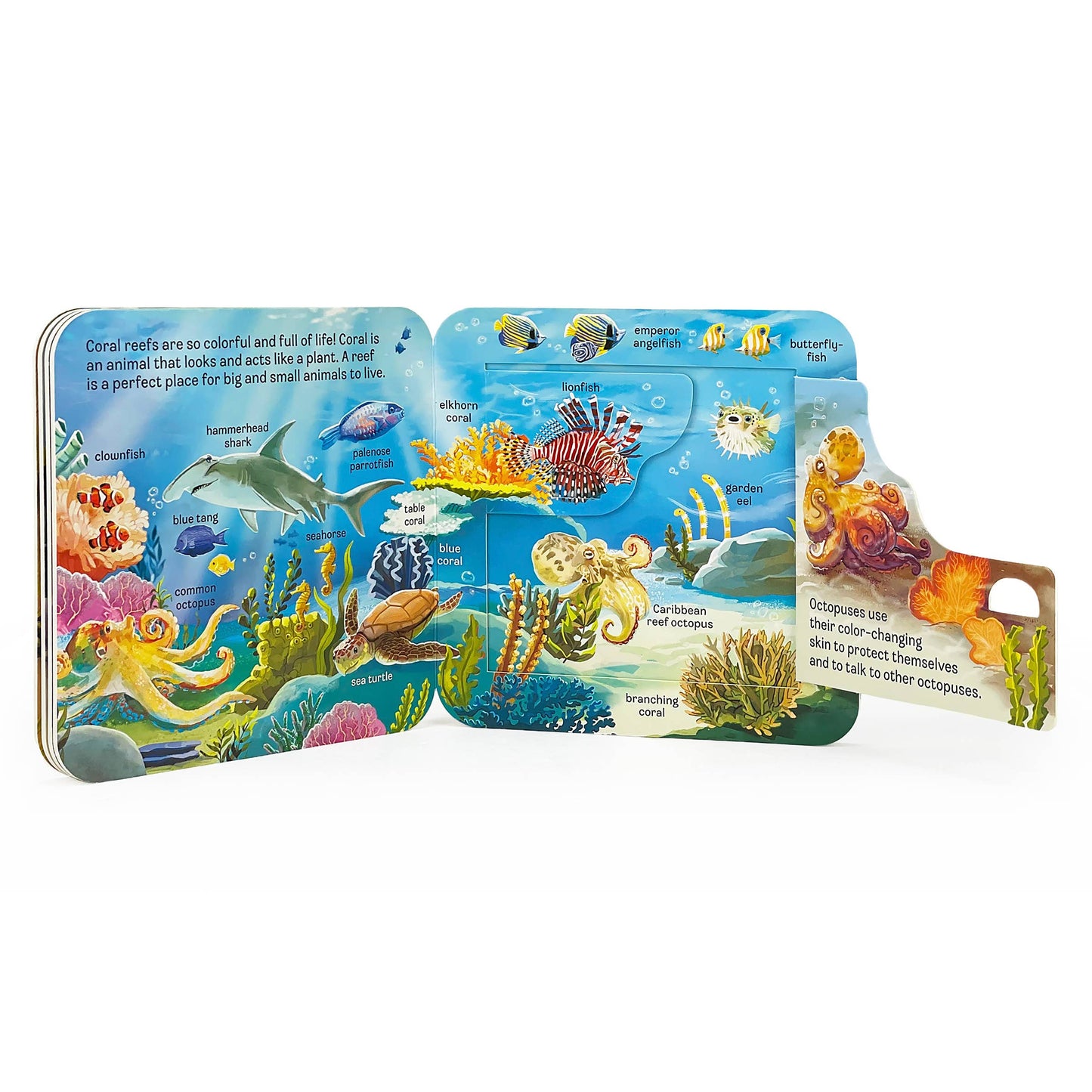 Ocean Interactive Lift-a-Flap Board Book