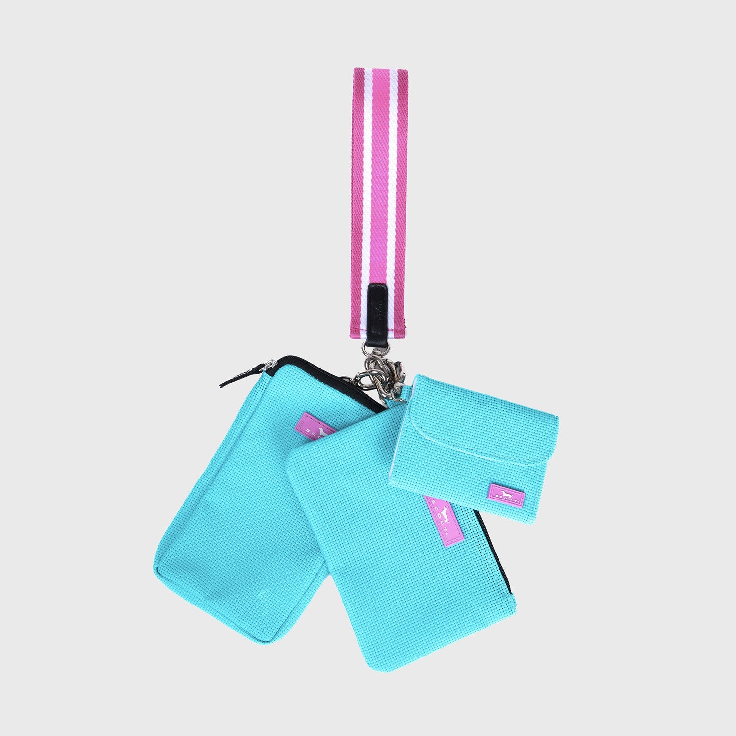 The Carly Pouch wristlet system