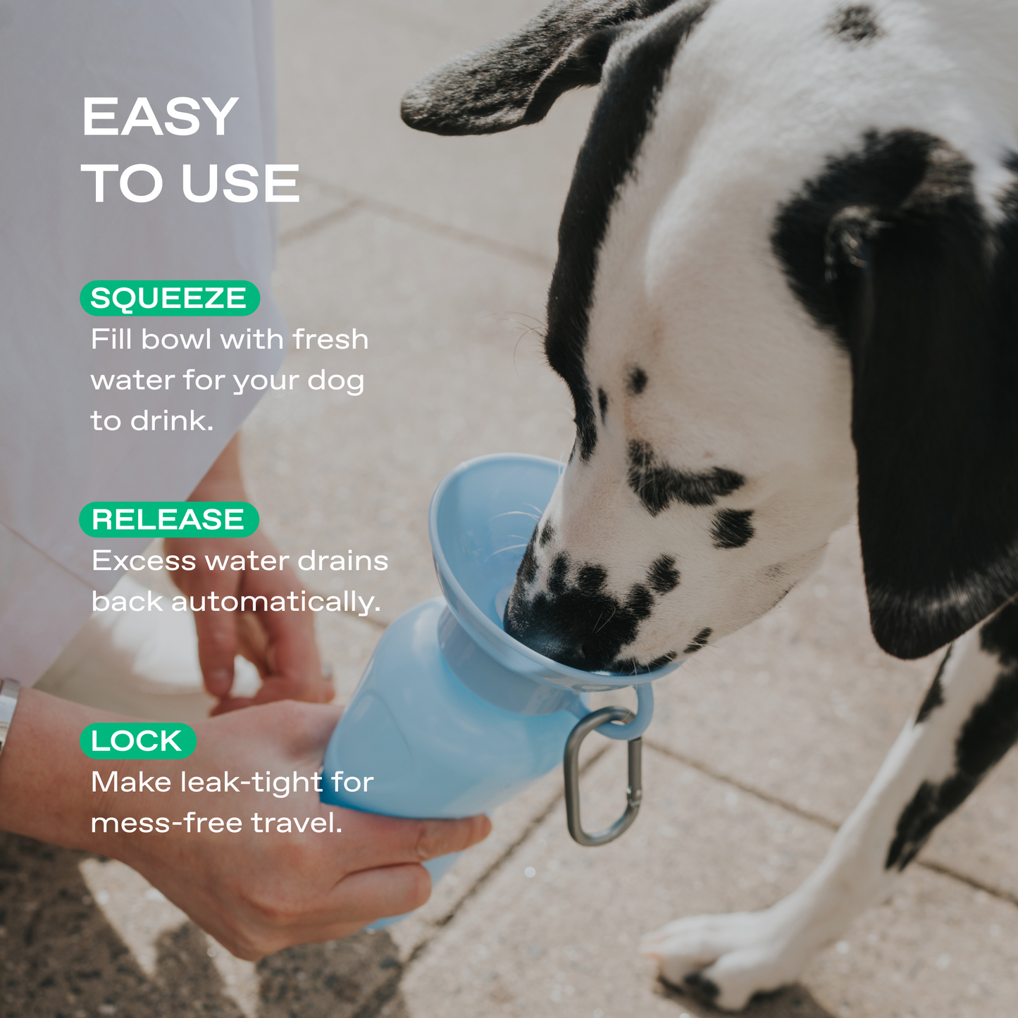 22oz Original Springer Dog Travel Water Bottle