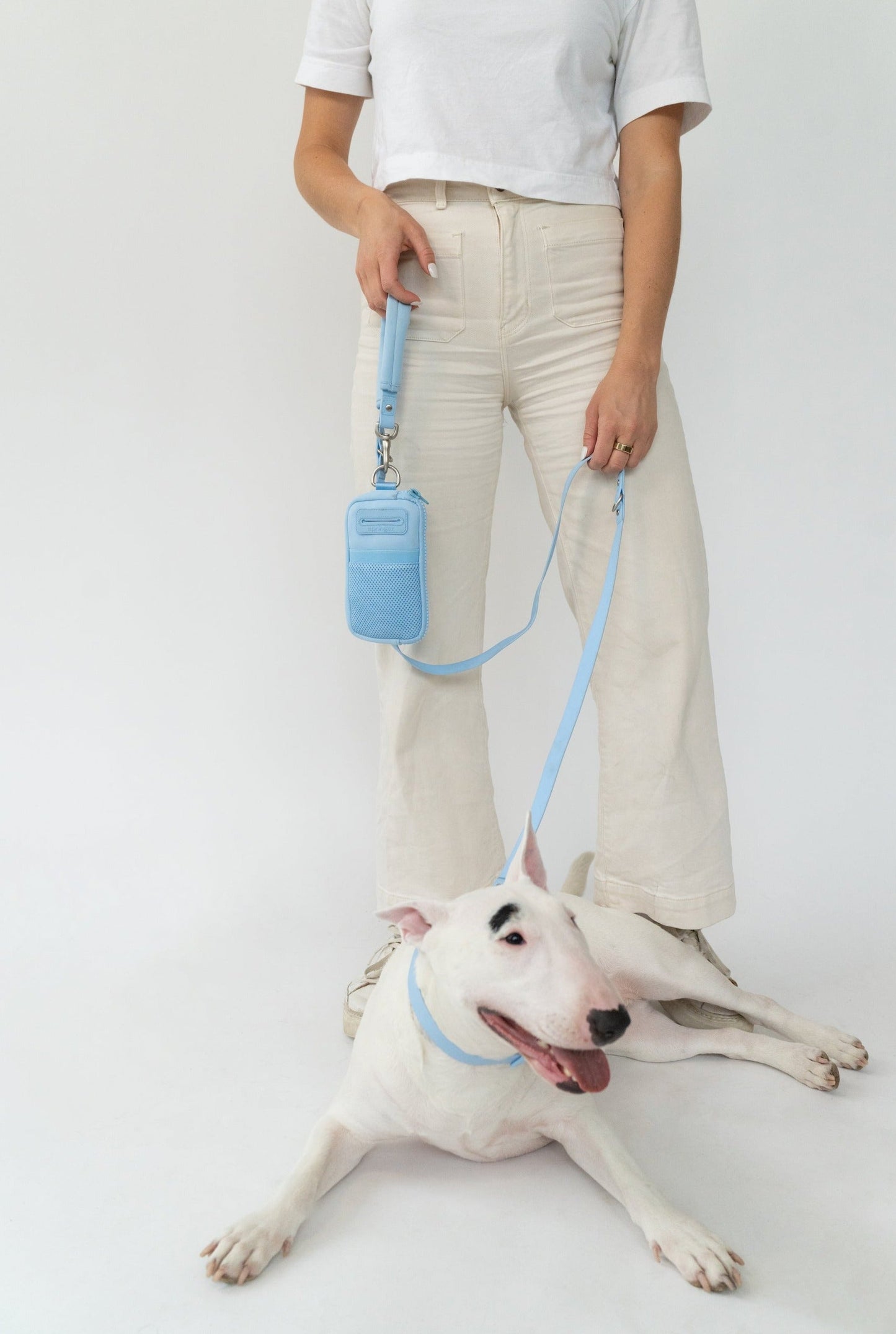 The Dog Walk Bag with Leash